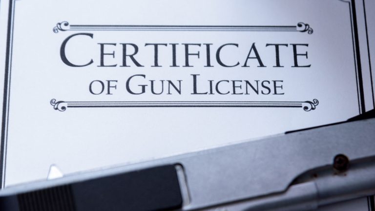 An image of a generic gun license certificate