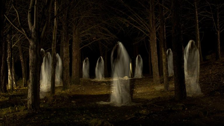An image of ghosts in the woods.