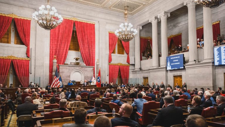 Tennessee legislature
