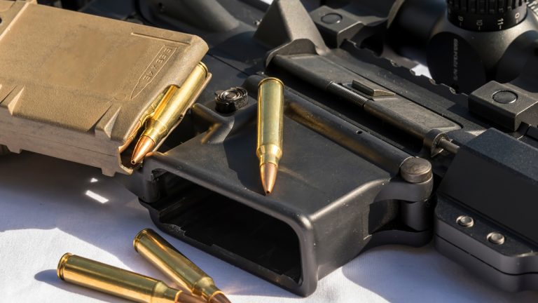 An AR15 rifle and an ammunition magazine