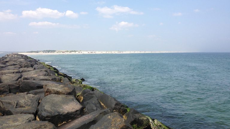 Coastline in Berkeley Township, NJ