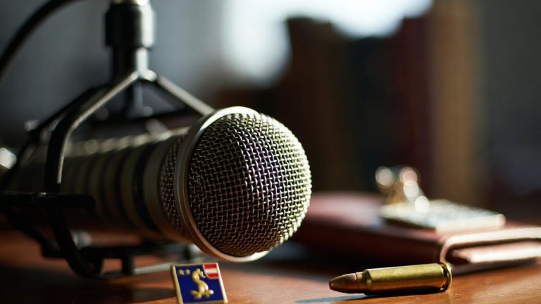 A news/press microphone