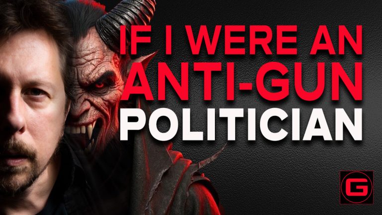 If I were an anti-gun politician